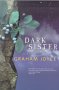 Dark Sister, by Graham Joyce
