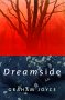 Dreamside, by Graham Joyce
